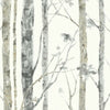 Ballywillin Birch Tree Peel and Stick 16.5' x 20.5