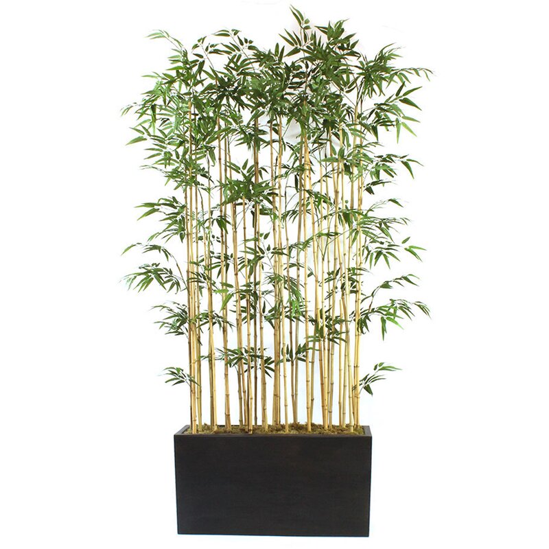 Bamboo Floor Plant in Planter MGO114