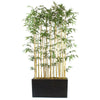 Bamboo Floor Plant in Planter MGO114
