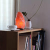 Banbury 17.1 Ibs Salt Lamp (Set of 2)