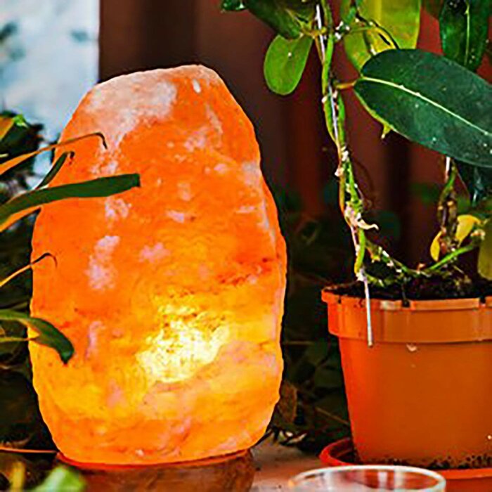Banbury 17.1 Ibs Salt Lamp (Set of 2)