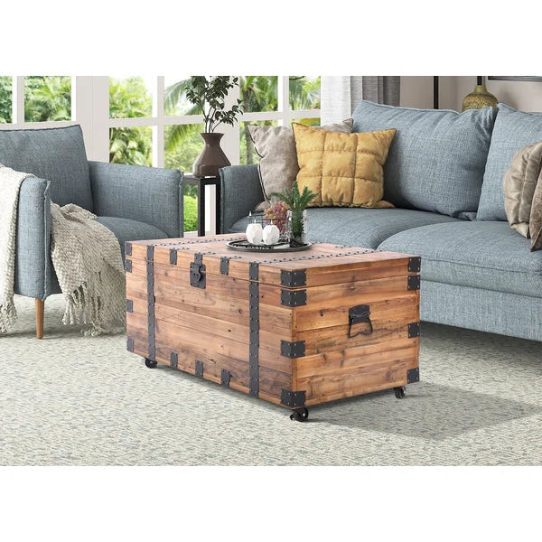 Barnstable Accent Trunk 20'' H x 41.25'' W x 22'' D