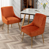 Baudel Tufted Velvet Side Chair (Set of 2)
