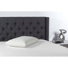 Beautyrest Talalay Latex Medium Firm Support Pillow (Set of 5) CYB887