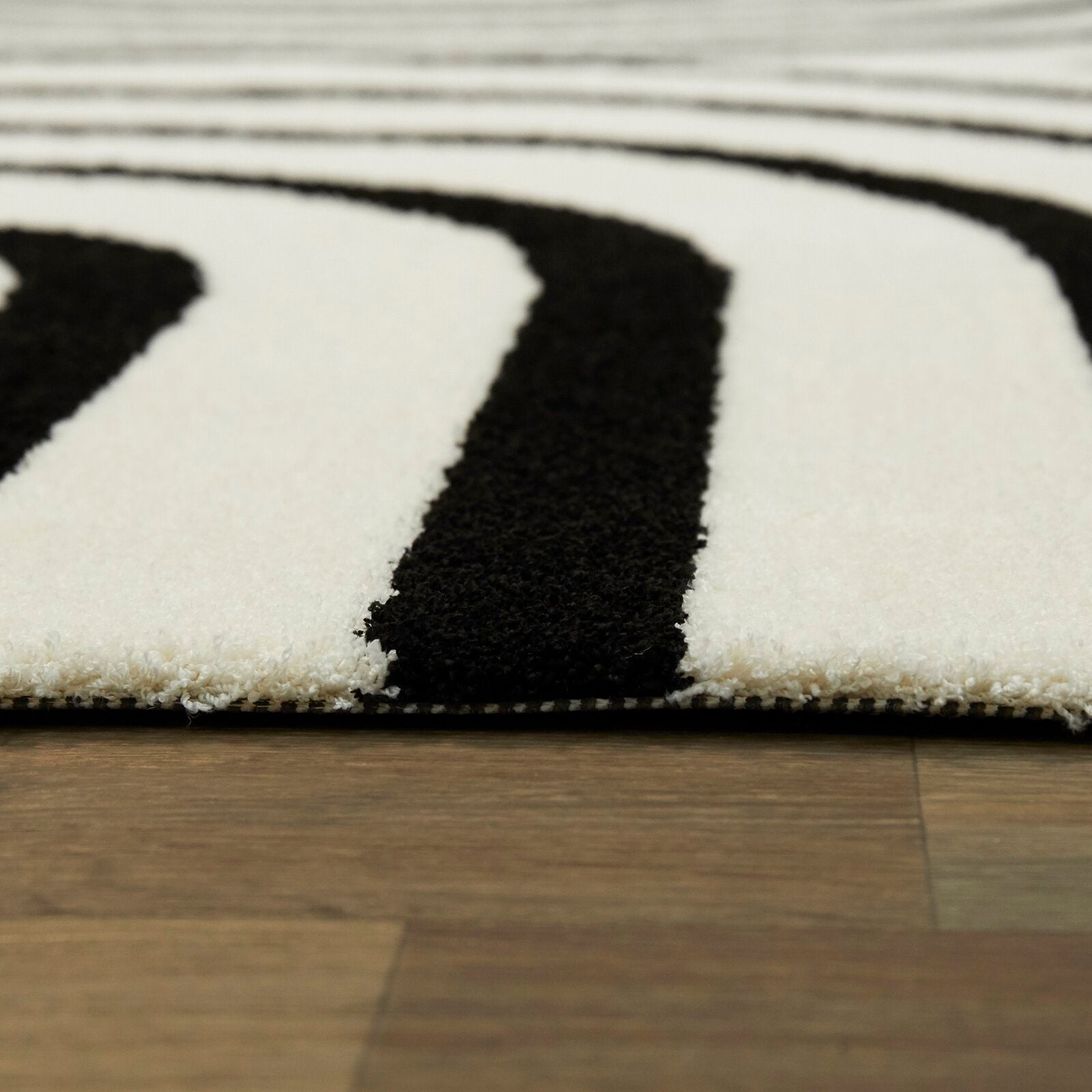 Papke Geometric Black/Beige Area Rug s rug154