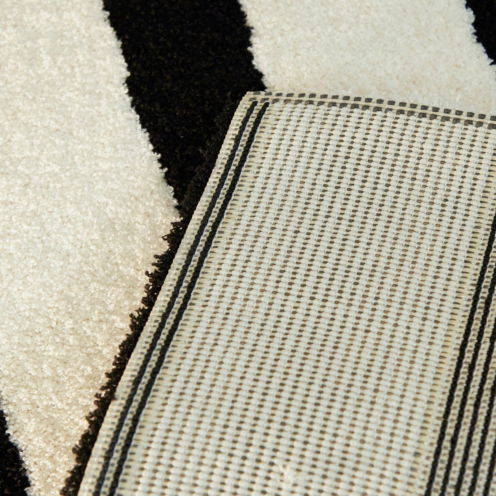 Papke Geometric Black/Beige Area Rug s rug154