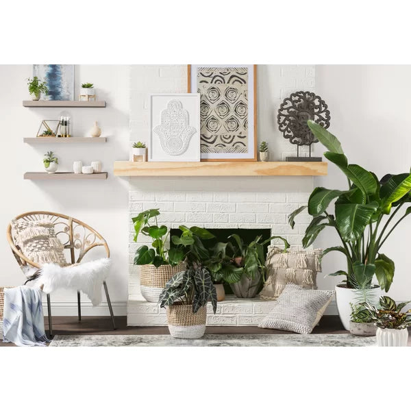 2" H x 36" W x 10" D Bellapais Floating Shelf