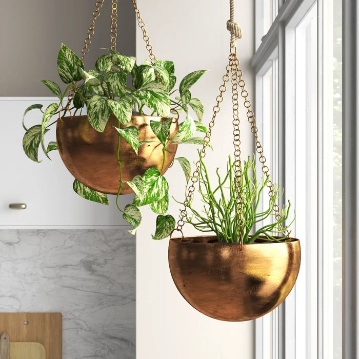 Benally 2 - Piece Iron Hanging Planter Set