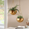 Benally 2 - Piece Iron Hanging Planter Set