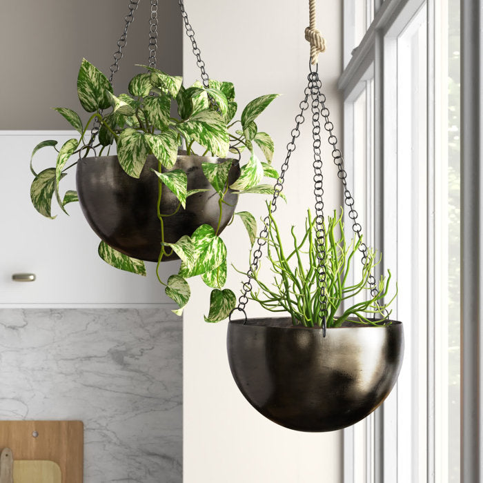 Black Benally 2 Piece Iron Hanging Planter Set