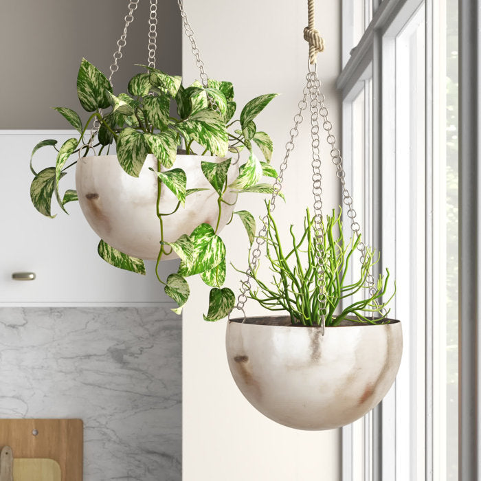 hanging nickel plant Nickel Benally Iron Hanging Planter Set (Set of 2) – Salvage & Co Indy