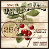 Berries 2 Piece Framed Vintage Advertisement Set CA534
