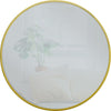 Bettencourt Accent Mirror pt899