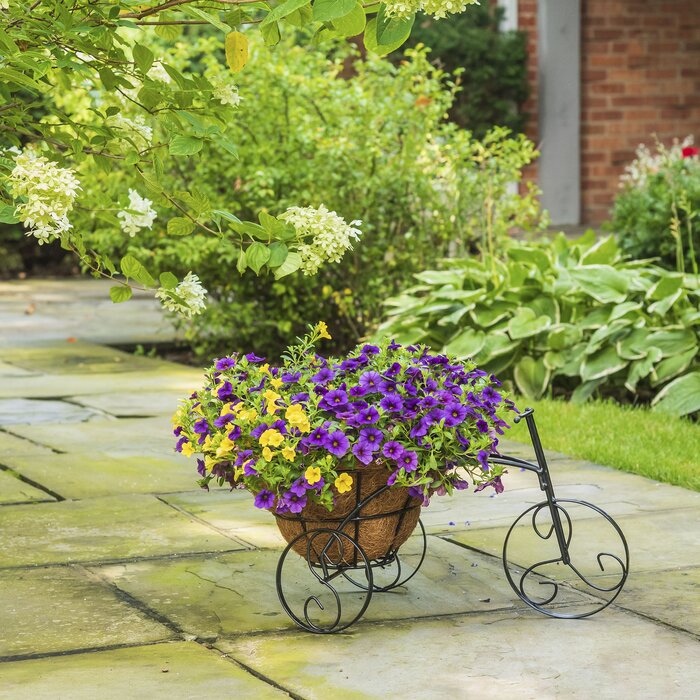 Bicycle Plant Stand (#K1897)