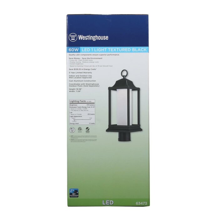 Bjorn 1-Light LED 19" Outdoor Lantern Head #LX4400