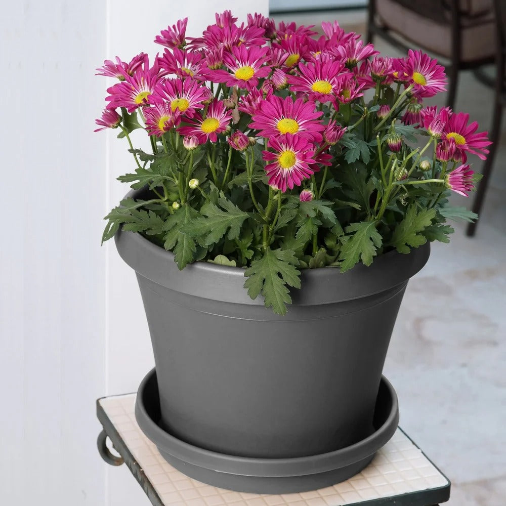 Bloem Terra Pot Planter 20" Charcoal Gray - 20 pt1069