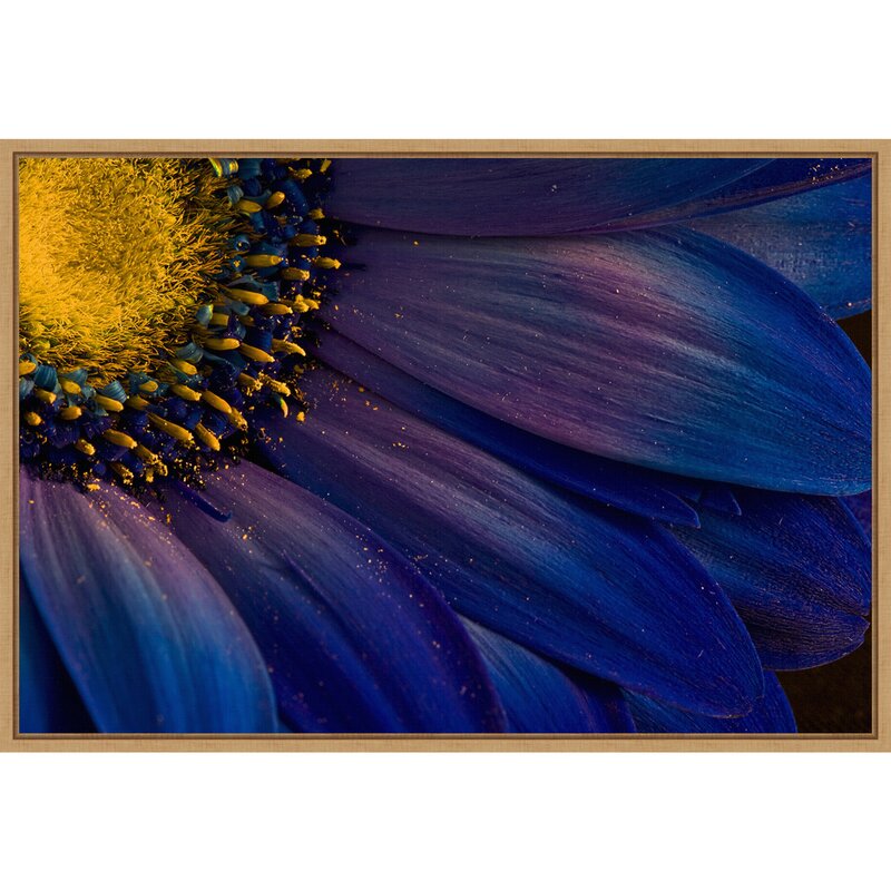 Blue Rays by Porsteinn H. Ingibergsson - Print on Canvas pc352