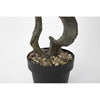 Bonsai Tree in Pot