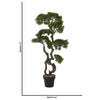 Bonsai Tree in Pot