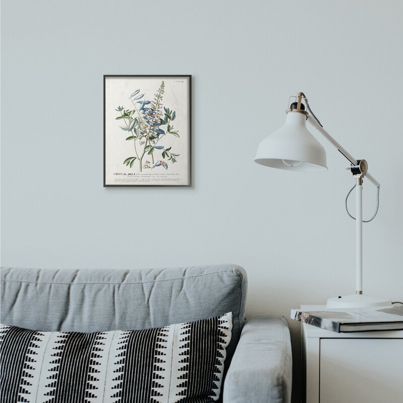 Botanical Plant Illustration Flowers And Leaves Vintage 11"x14" - Print KB156