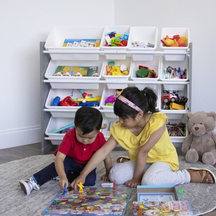 Bratton Toy Organizer