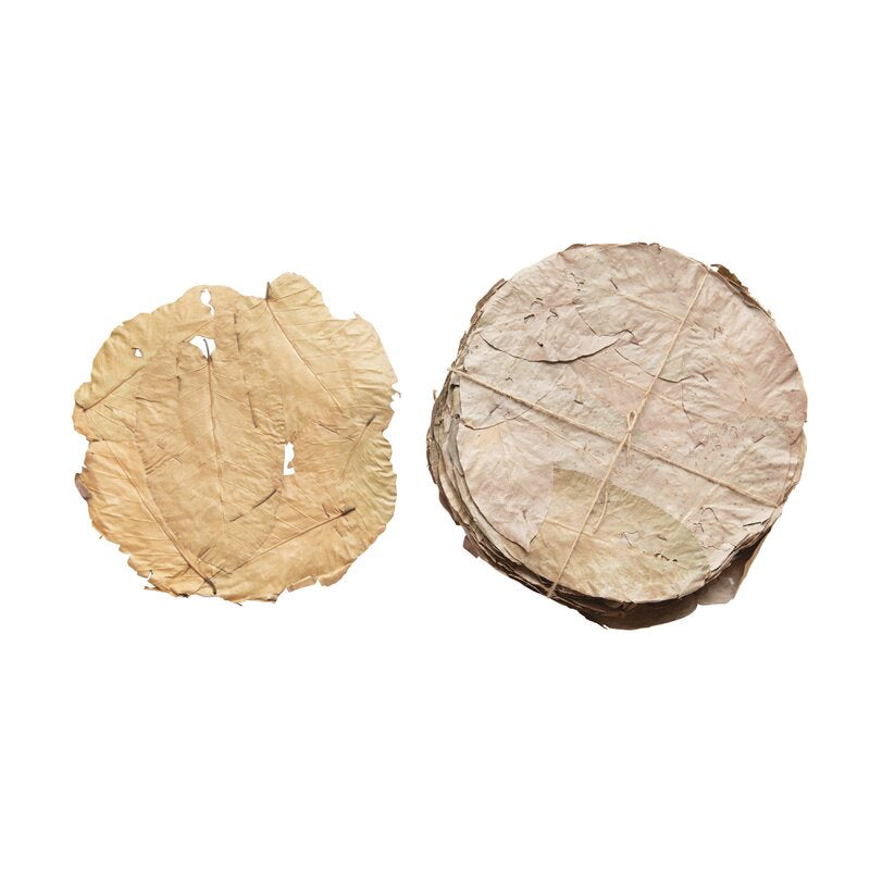 Braydi 48 Piece Placemat Set