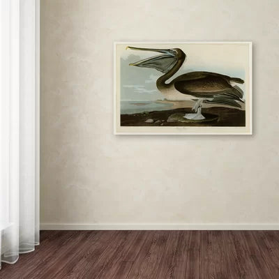 22" H x 32" W Brown Pelican by James Audubon - Wrapped Canvas Painting
