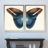 Butterfly Duo - 2 Piece Picture Frame Graphic Art