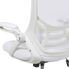 Cappello High Back Mesh Ergonomic Swivel Office Computer Chair with Flip-up Arms