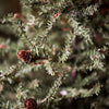 3' Carmel Pine Artificial Christmas Tree (#K5554)