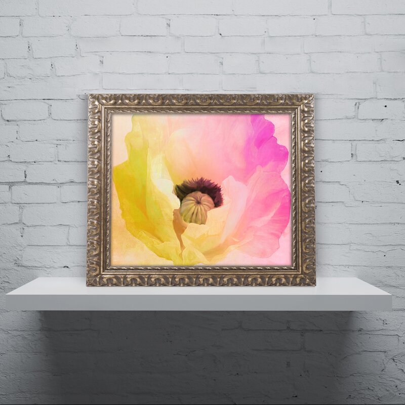 16" x20" Color Bakery Poppy Gradient II - Picture Frame Print on Canvas CYB798