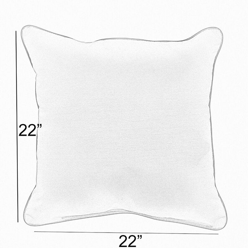 22" x 22" Blue/Coral Cooke Corded Outdoor Square Pillow Cover & Insert (Set of 2)