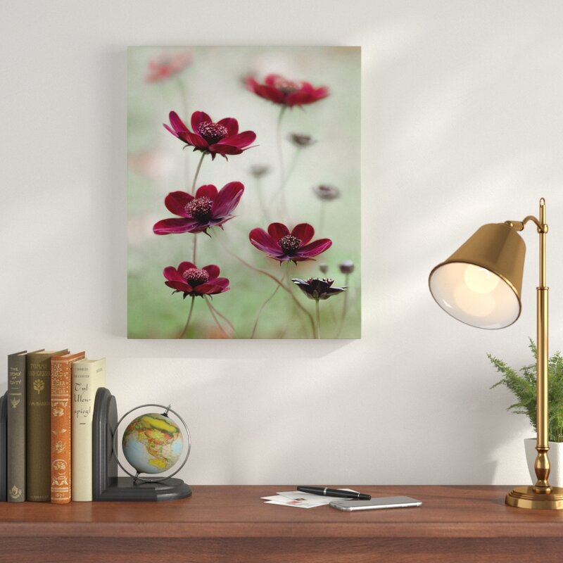 16" H x 12" W x 1.5" D Cosmos Sway - Photograph on Canvas B78-VS236