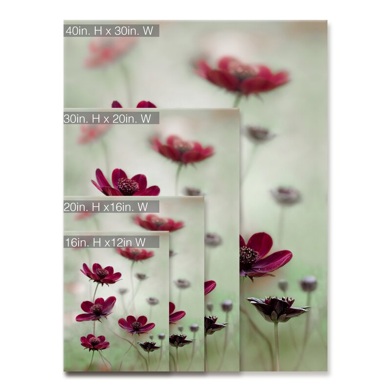 16" H x 12" W x 1.5" D Cosmos Sway - Photograph on Canvas B78-VS236