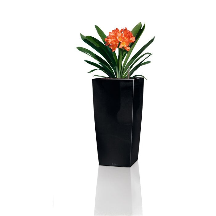 16" H x 9" W x 9" D Black Cubico Self-Watering Plastic Pot Planter