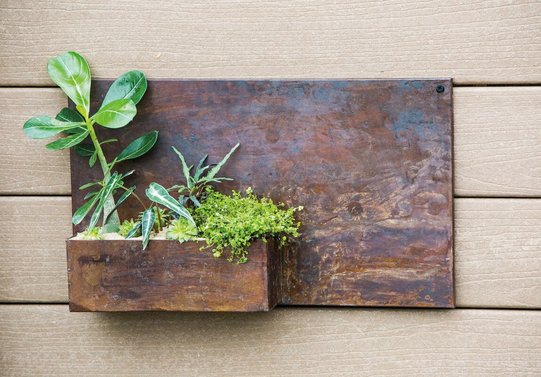 Cynthia Metal Wall Planter (#820)
