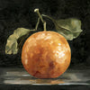 Dark Orange Deux I by Emma Caroline - Wrapped Canvas Painting,  12