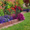 Decorative Garden 2 ft. H x 13 in. W Metal Fencing