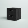 Black Woodgrain Dillwyn 16.65'' Tall 2 - Drawer Nightstand