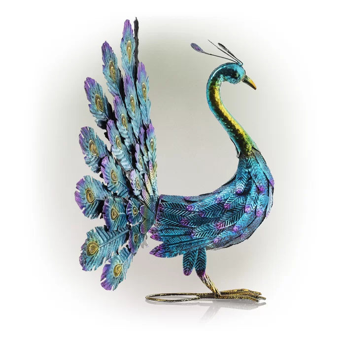 Divi Metal Peacock Statue