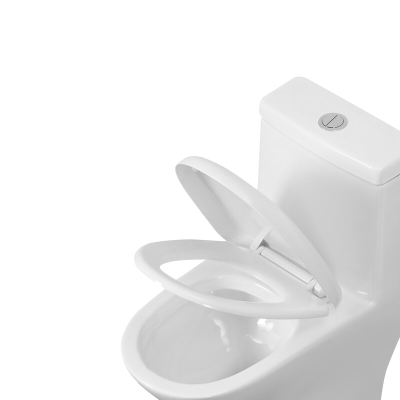 Dual-Flush Elongated One-Piece Toilet