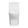 Dual-Flush Elongated One-Piece Toilet
