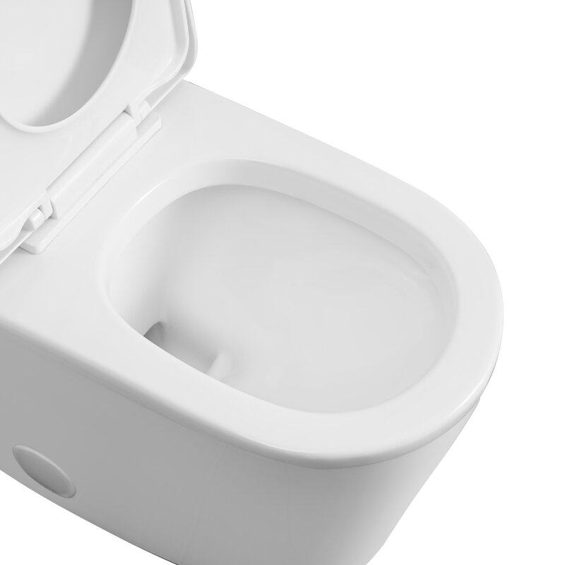 Dual-Flush Elongated One-Piece Toilet