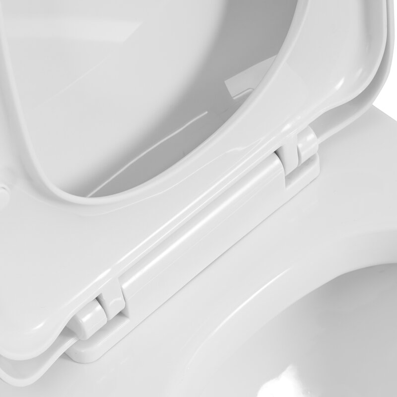 Dual-Flush Elongated One-Piece Toilet