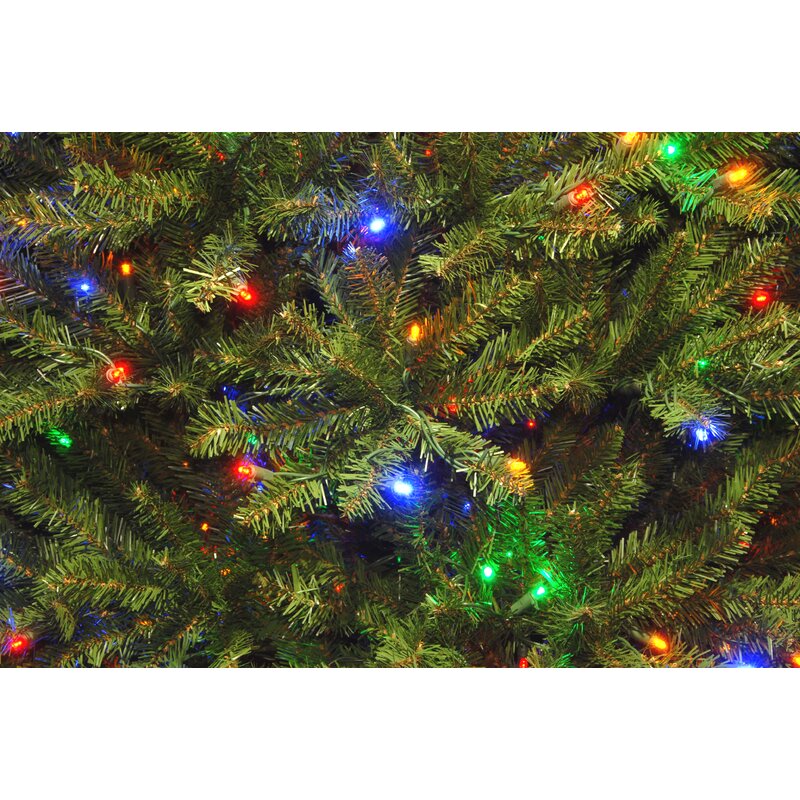 6.5' H Dunhill Fir Green Artificial Christmas Tree with Color + Clear Lights