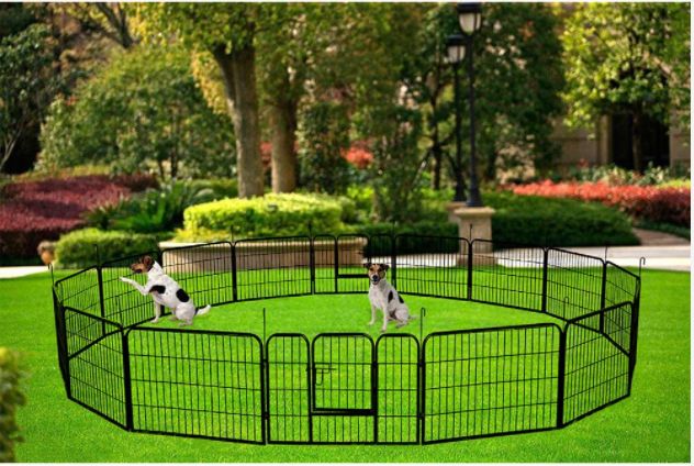 Black Dog Pen K8283