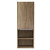 Weathered Oak  Eliasib Surface Mount Frameless Medicine Cabinet MG287