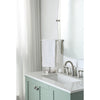 16.5'' H x 11.4'' L x 6.6'' D Elite Countertop Towel Stand