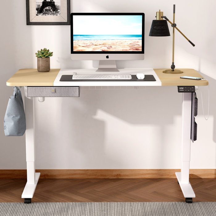 47.2" H x 48'' W x 24'' D White Erminda Height Adjustable Standing Desk With Accessories