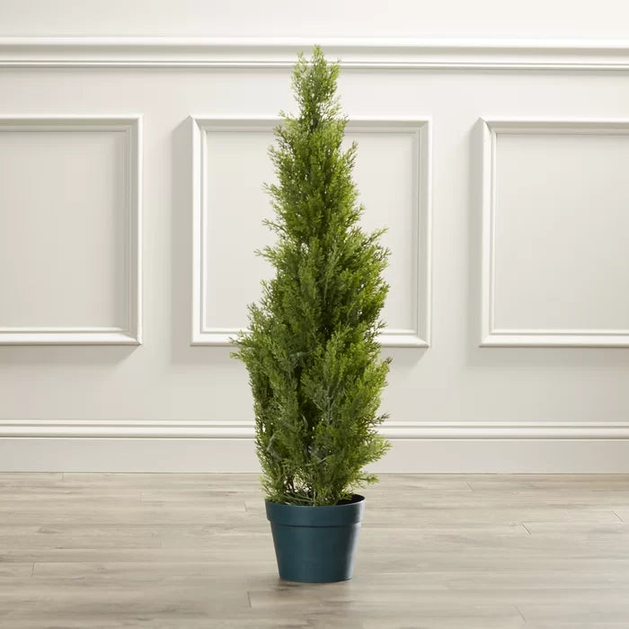 60" H x 13" W x 13" D Evgenia 31.5" Artificial Cedar Topiary in Pot